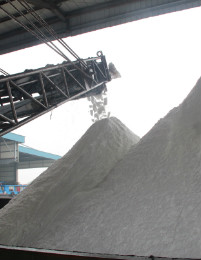 维多利亚老品牌vic(集团)官方网站